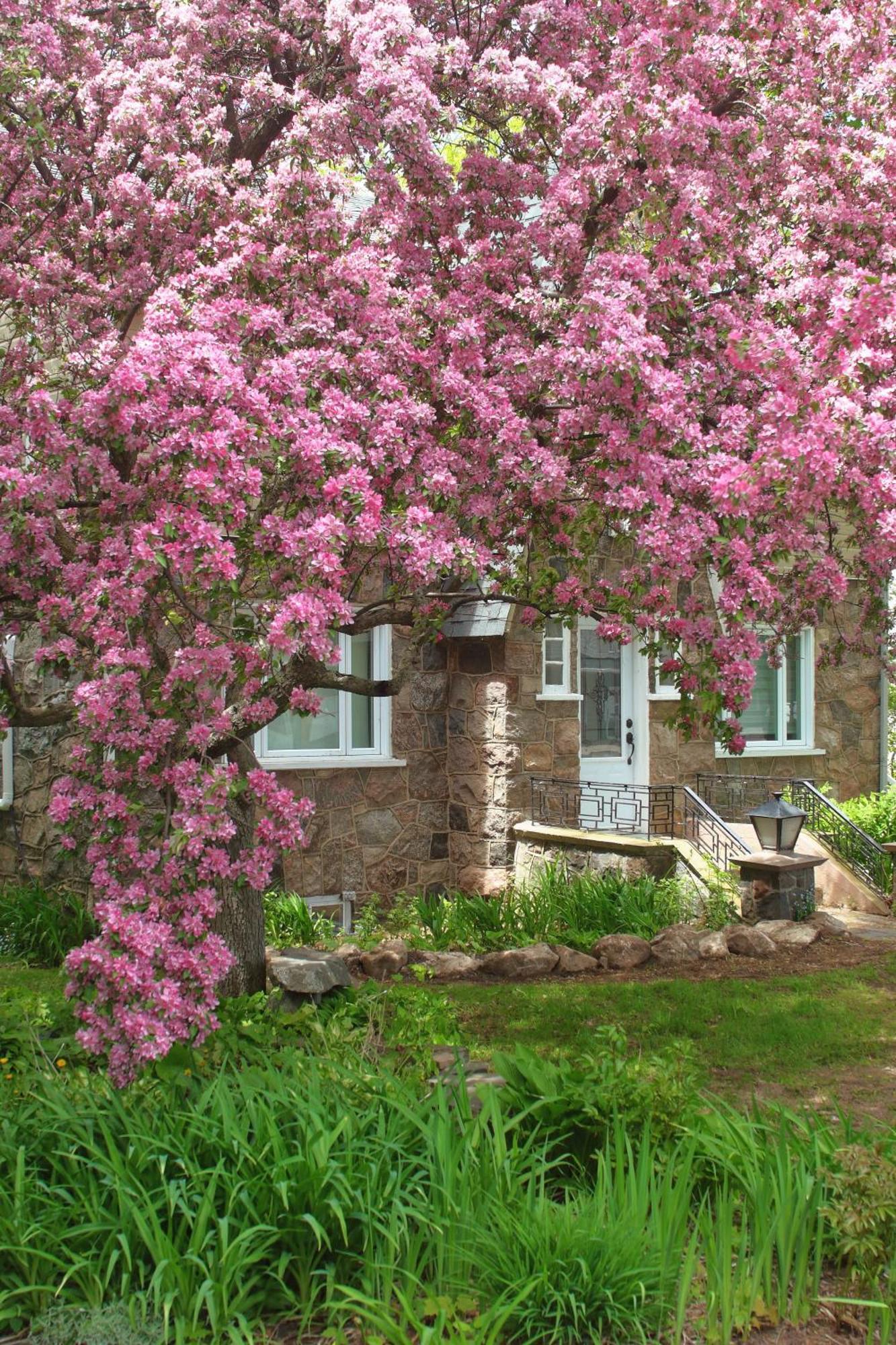 Rester Vivant Chambres D'Hotes Saint-Jean-Port-Joli Luaran gambar
